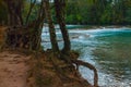 Landscape with waterfall Agua Azul, Chiapas, Palenque, Mexico Royalty Free Stock Photo