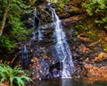 Landscape of a waterfall cascading on rocks in the forest on a sunny day during autumn season Royalty Free Stock Photo