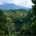 Landscape with waterfall