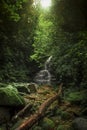 Landscape with waterfall in the middle of the mountain and tropical jungle Royalty Free Stock Photo