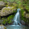 landscape waterfall, mountain altai russia, teletskoye lake Royalty Free Stock Photo