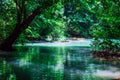 Landscape Waterfall Than Bok Khorani. Thanbok Khoranee National Parklake, nature trail, forest, mangrove forest, travel nature,