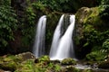 Green vegetation landscape with waterfalls in Azores islands