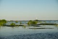 Landscape with waterline,  birds,  reeds,  vegetation and Sulina lighthouse in Danube Delta,  Romania,  in a sunny summer day Royalty Free Stock Photo