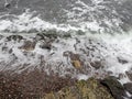 The city of Odessa. Ukraine. Coast near Fontana Street. Panorama of the stormy Black Sea in the feast of Epiphany.