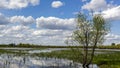 Clouds reflected in the waters of a wetland conservation area