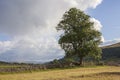 Landscape in the Wharfedale valley, Yorkshire Royalty Free Stock Photo