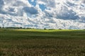 Landscape with Wheat Field and Cloudy Blue Sky in Background. Sunlight and Wide Shadows Area. Royalty Free Stock Photo