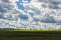 Landscape with Wheat Field and Cloudy Blue Sky in Background. Sunlight and Wide Shadows Area. Royalty Free Stock Photo