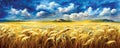 Landscape of wheat field, countryside scene, summer, panorama view Royalty Free Stock Photo