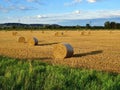 Landscape of wheat field after harvest with straw bales at sunset Royalty Free Stock Photo