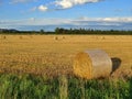 Landscape of wheat field after harvest with straw bales at sunset Royalty Free Stock Photo