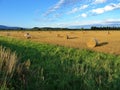 Landscape of wheat field after harvest with straw bales at sunset Royalty Free Stock Photo