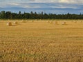 Landscape of wheat field after harvest with straw bales at sunset Royalty Free Stock Photo