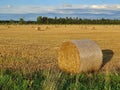 Landscape of wheat field after harvest with straw bales at sunset Royalty Free Stock Photo