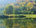 Lake among autumn orest with tree