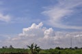 Landscape of white clouds and vast expanse of rice fields Royalty Free Stock Photo
