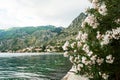 Landscape with the white flowers on the front and villages on the sea coast Royalty Free Stock Photo