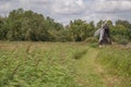 Landscape wicken fen Royalty Free Stock Photo