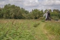 Landscape wicken fen Royalty Free Stock Photo