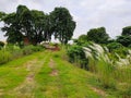 Landscape in wide angle of a clear sunny morning in Country side in the Autumn days.