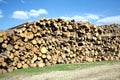 Landscape width stacked pine logs Royalty Free Stock Photo