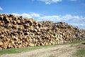 Landscape width stacked pine logs Royalty Free Stock Photo