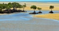 Landscape of a wild beach with Australian mangroves in Queensland Australia Royalty Free Stock Photo