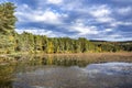 Landscape of a wild lake densely covered with water lilies and grazing geese framed by a forest of autumn trees against a cloudy Royalty Free Stock Photo