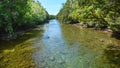 Landscape of a wild stream in Daintree National Park Queensland