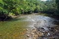 Landscape of a wild stream in Daintree National Park Queensland