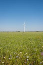 Landscape with wind generator turbine in green field and blue sky background Royalty Free Stock Photo