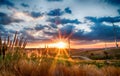 Landscape wind turbine field and Rotary propeller moving Royalty Free Stock Photo