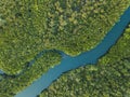 Landscape of winding river in forest by drone, beautiful wilderness nature