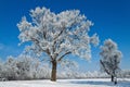Landscape in winter Royalty Free Stock Photo