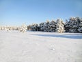 Landscape of winter