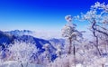 Landscape in winter,Deogyusan in korea Royalty Free Stock Photo