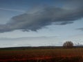 Landscape of winter fields