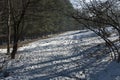 Landscape with winter forest and road in snowy Vitosha mountain Royalty Free Stock Photo