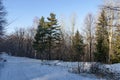 Landscape with winter forest and road in snowy Vitosha mountain Royalty Free Stock Photo