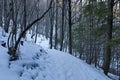 Landscape with winter forest and road in snowy Vitosha mountain Royalty Free Stock Photo