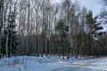 Landscape with winter forest and road in snowy Vitosha mountain Royalty Free Stock Photo