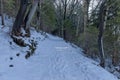 Landscape with winter forest and road in snowy Vitosha mountain Royalty Free Stock Photo