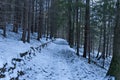 Landscape with winter forest and road in snowy Vitosha mountain Royalty Free Stock Photo