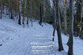 Landscape with winter forest and road in snowy Vitosha mountain Royalty Free Stock Photo