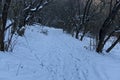 Landscape with winter forest and road in snowy Vitosha mountain Royalty Free Stock Photo