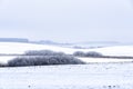 Landscape in winter in Masuria Royalty Free Stock Photo