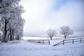 Landscape in winter in Masuria Royalty Free Stock Photo