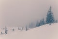 Landscape in winter mountains. Royalty Free Stock Photo