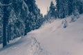 Landscape in winter mountains. Royalty Free Stock Photo